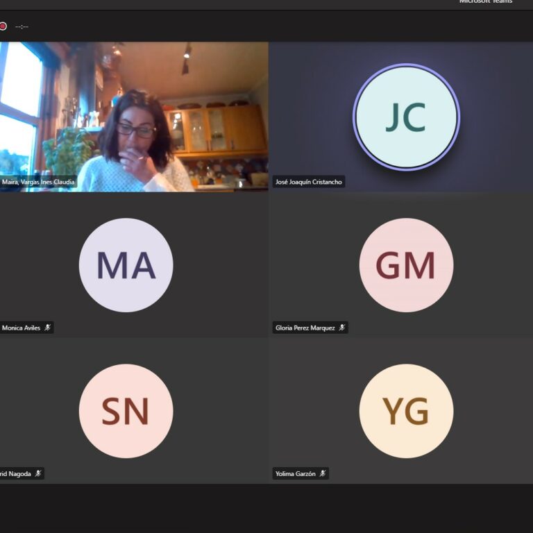 Second Steering Committee Meeting